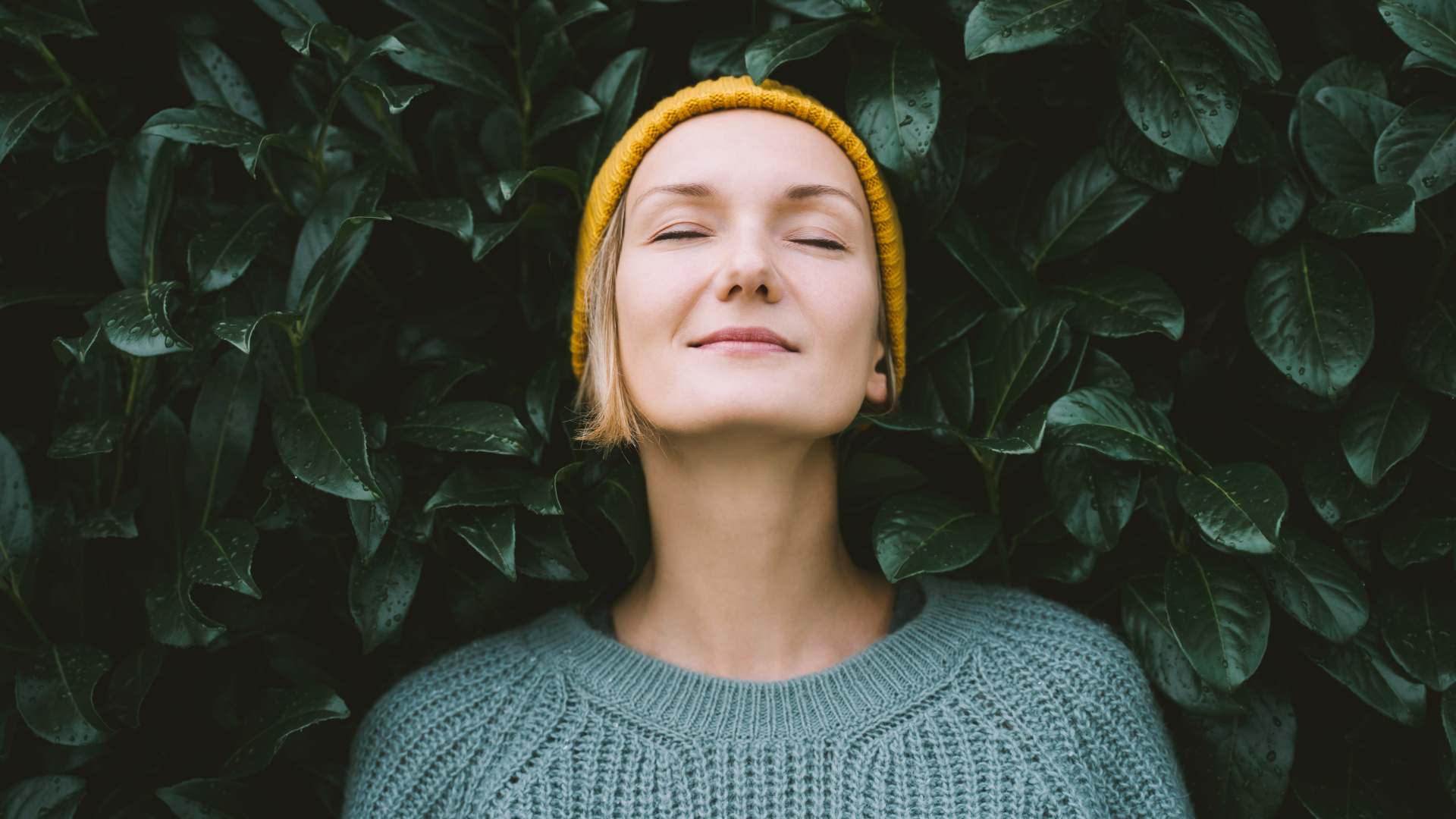 RBI Wellness Center, Suboxone Clinic Located In Loudon, TN